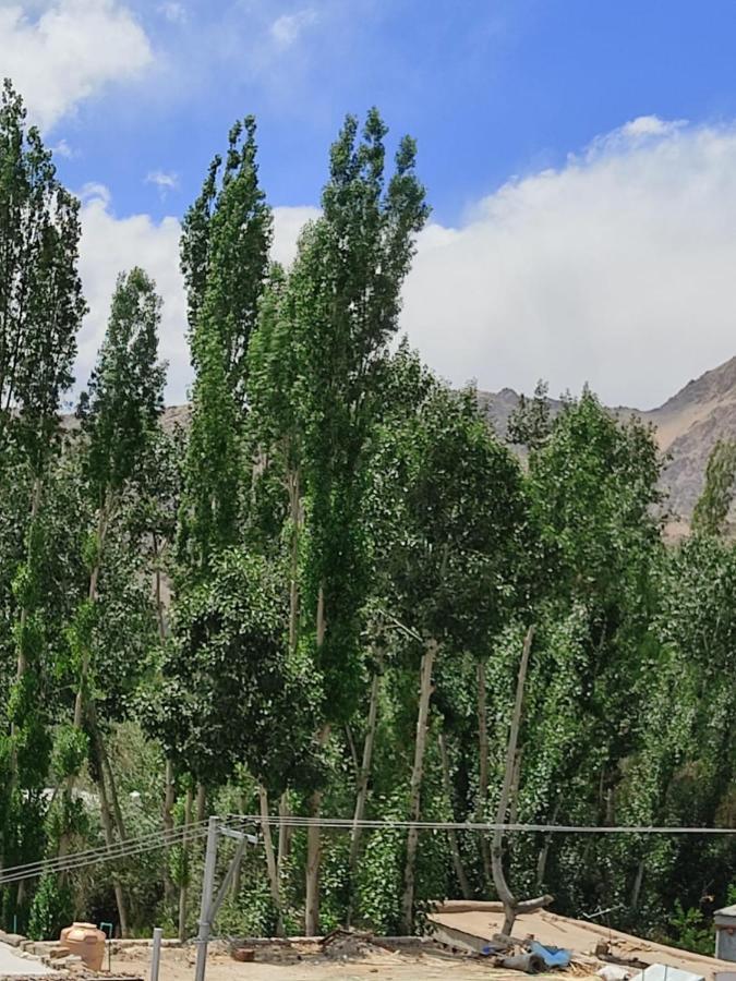 Paradise Leh Residency Buitenkant foto